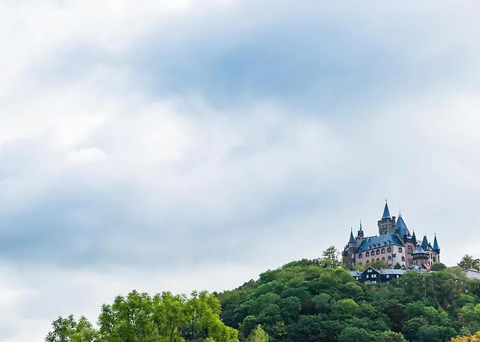 Prázdninový dům - Direkt 